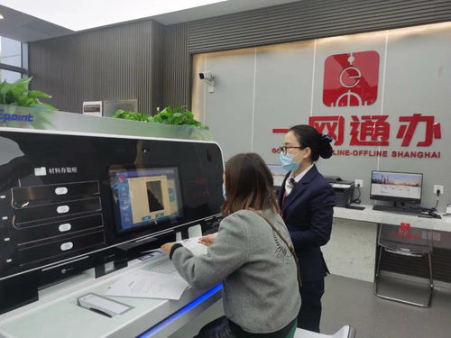 7×24小時隨時辦，信息技術(shù)咨詢服務(wù)就在崇明這里